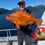 Ted Celmer - @celmerted - Instagram