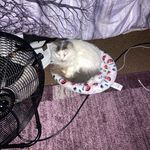 @embry_with_zaltic_and_ted - Instagram