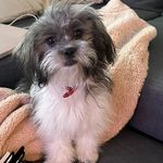 @embrytheteddy - Instagram