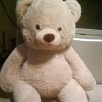 Ted Emerson Bear - @teddybear_132 - Instagram
