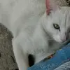 TedEmerson - @tedemerson - TikTok