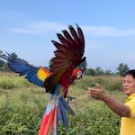 Erwin Hardiyanto Tedjo - @erwin_htedjo - Instagram