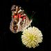 Ted Lee Eubanks - Facebook