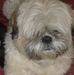 Ted E Featherstone - Facebook