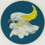 feltedfellows - @felted.fellows - Instagram
