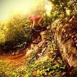 Ted Ferguson - @ted.ferguson - Instagram