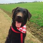 Ted - @ted_ferguson_ - Instagram