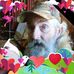 Ted Ferrell - Facebook