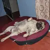 TEDDY FERRER - @teddyferrer - TikTok
