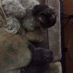 Vali Stein - @ferris_fold_and_teddy_stein - Instagram