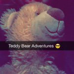 Teddy Bear Finley - @teddybear_fin - Instagram