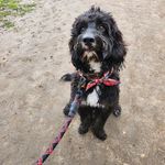 Teddy Flaherty Pierce - @teddychompyboy - Instagram