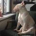 Ted Flanagan - Facebook