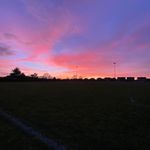 John Pork - @tedfletcher17 - Instagram