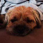 Ted Fletcher - @tedfletcher77 - Instagram