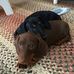 Ted Flickinger - Facebook