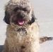 Teddy Flickinger - Facebook