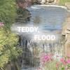Teddy.flood🎀 - @teddy.flood - TikTok