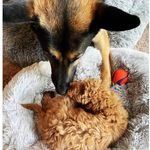Ted and Florence - @ted_and_florence - Instagram