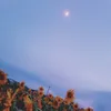 hoku__ - @tedshacklford - TikTok