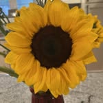 Karen Tedford-Tierney - @tedfordtierney - Instagram