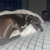ted_foss - @ted_foss - TikTok