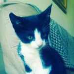 Ted fraser - @ted_tedster_lp - Instagram
