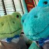 Ted & Fred 🐸 - @freddy.and.teddy - TikTok
