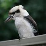 Ted Freeman - @ted.queb - Instagram