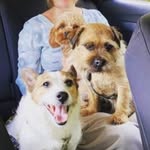 🐾 Freya, Ted and Dolly 🐾 - @freya_ted_and_dolly - Instagram