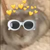Teddy - @teddyfrey069 - TikTok