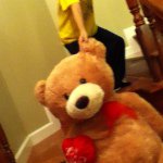 Teddy - @ted_connors_best_friend - Instagram