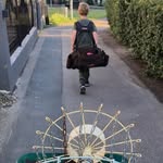 Ted - @ted_frisbee - Instagram