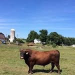Ted Fuller - @tedfuller - Instagram