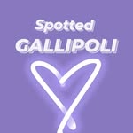 @spot.tedgallipoli - Instagram