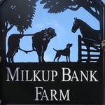 Milkup Belted Galloways - @milkupbeltedgalloways - Instagram