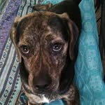 Ted Gardner - @tedgardner28 - Instagram