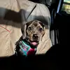 Ted Gardner - @ted.gardner1 - TikTok