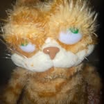 g - @zootedgarfield - Instagram