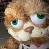 Garf🤑🤑 - @itszootedgarfield - TikTok