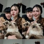 @garfieldteddyphakboong - Instagram