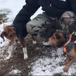 Ted Garrett Wells - @ted.wells.184 - Instagram