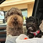 Allison McIntyre - @garylovested - Instagram