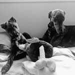 Gary, Sue and Ted - @gary_sue_ted - Instagram