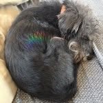 Ted (Gary if your nasty) - @ted_from_the_streets - Instagram