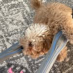 teddy fan club - @ted_d_gary - Instagram