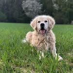 Ted - @tedgass_ - Instagram