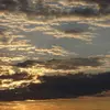 Ted Gentile - @ted.gentile - TikTok