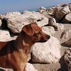 Gioia Tedde - @gioiatedde - TikTok