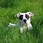 Ted Godwin - @godwin.ted - Instagram